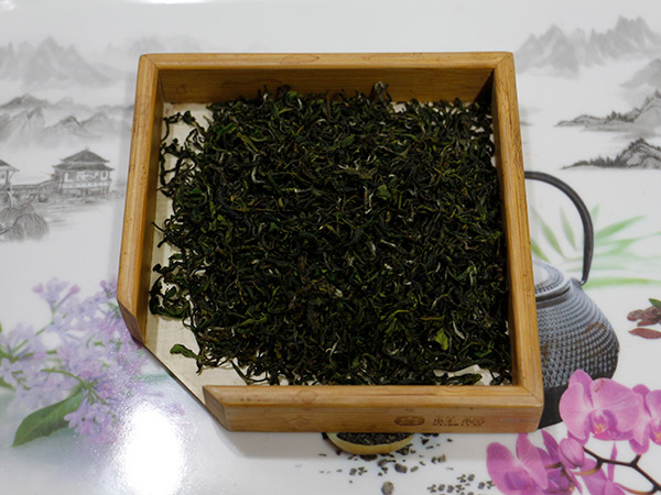 一芽一叶春茶